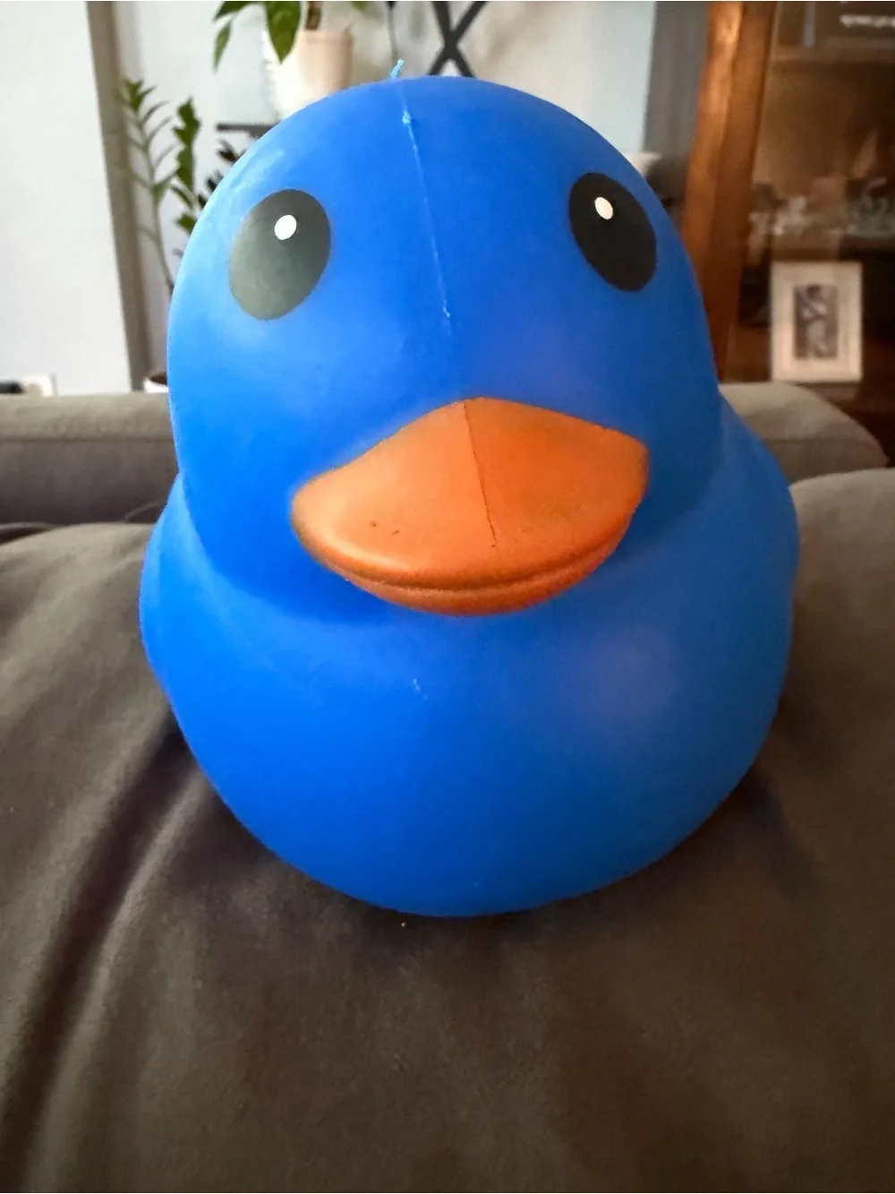 Squeeezy Blue Rubber Duck with Orange Beak - Picture 1 of 4